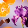 Bois Royal|Rituals Best Sale