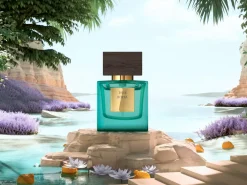 Bois Royal|Rituals Best Sale