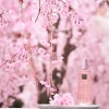 Dry Body Oil|Rituals Sale