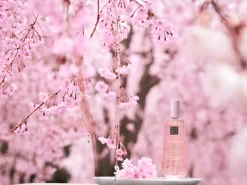 Dry Body Oil|Rituals Sale