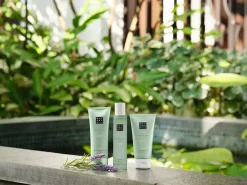 Foot Balm|Rituals Outlet