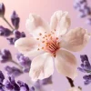 Gratitude Refillable Fragrance Sticks Set|Rituals Online