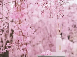 Mini Fragrance Sticks|Rituals Online