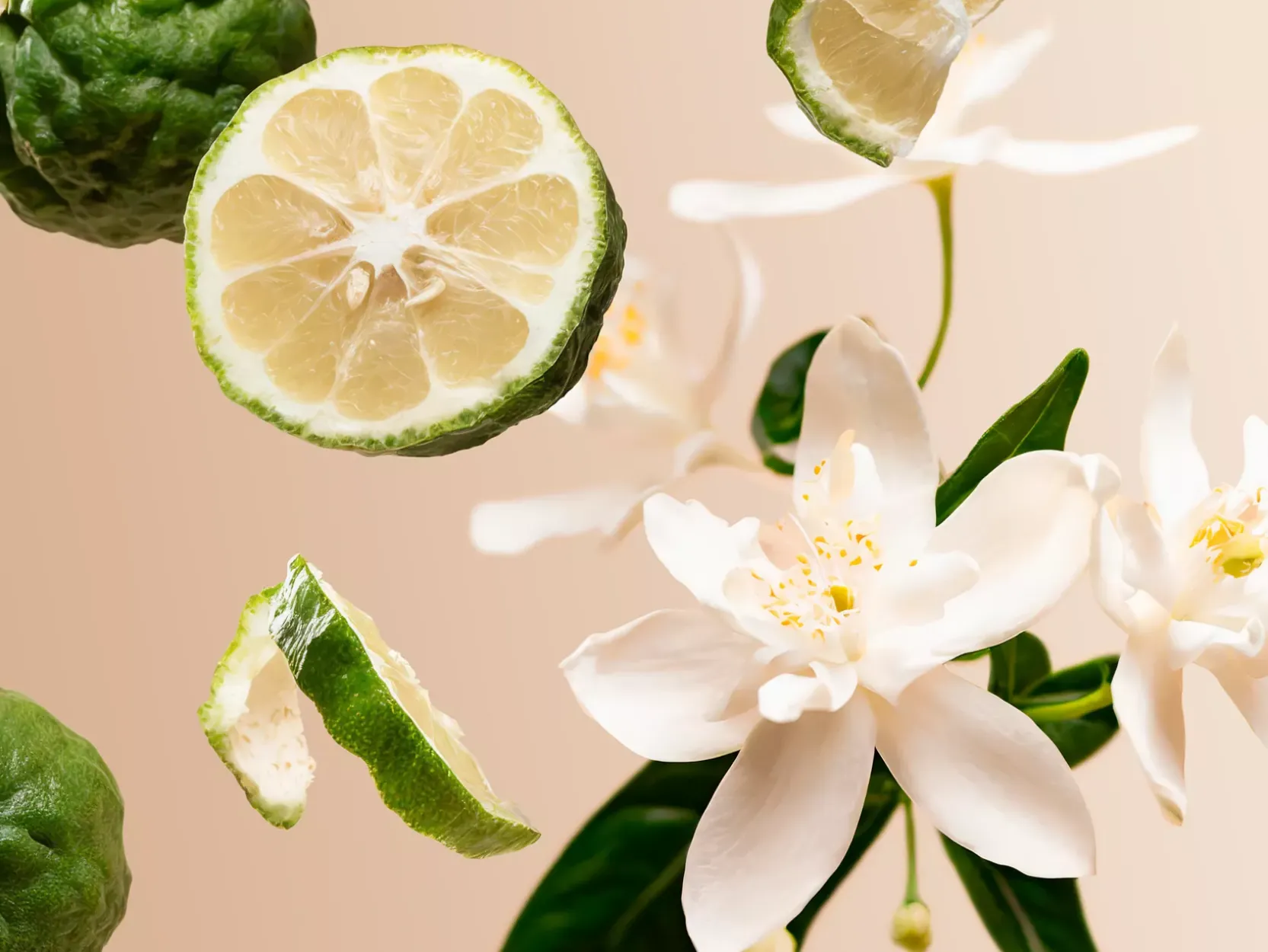 Positivity Wardrobe Fragrance|Rituals Outlet