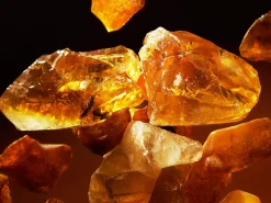 Precious Amber Dish Wash|Rituals Best Sale