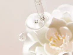Refill Hydrating Day Cream|Rituals Shop