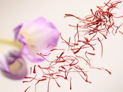 Remembrance Candle|Rituals Fashion