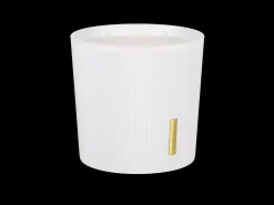 Scented Candle|Rituals Best
