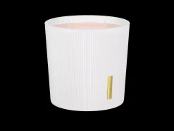 Scented Candle|Rituals Discount