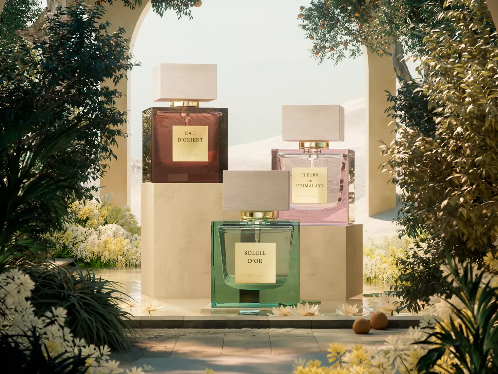 Soleil d'Or|Rituals Cheap