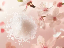 Sugar Body Polish|Rituals Sale
