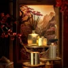 Sweet Jasmine Fragrance Sticks|Rituals Best
