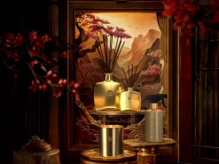 Sweet Jasmine Home Perfume|Rituals Best