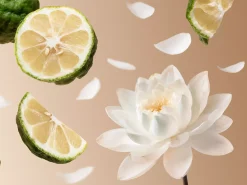 Travel - Eau De Parfum Soleil d'Or|Rituals Shop