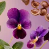 Voyage d'Ombre|Rituals Flash Sale