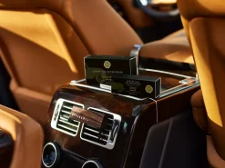 Wild Fig Car Air Freshener Refill|Rituals New